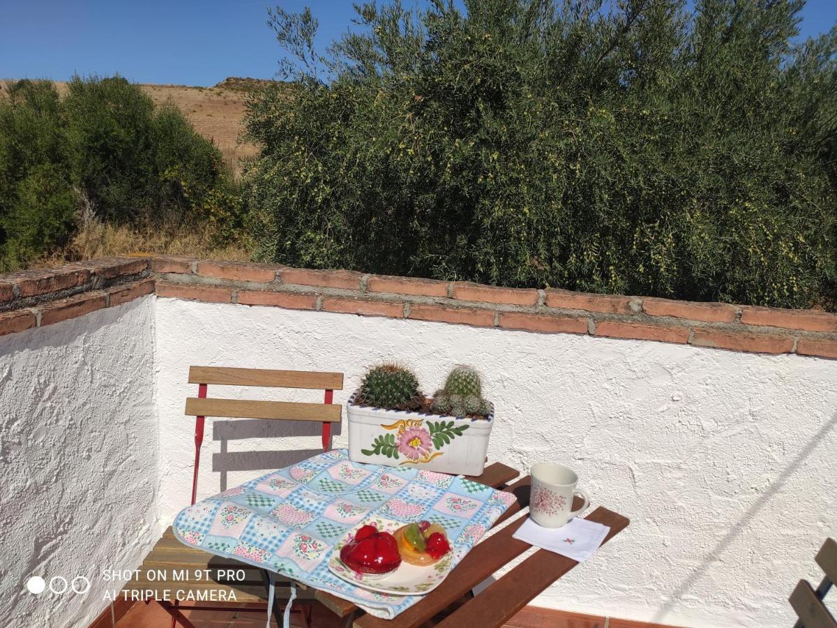 El Lagar De Pepe Bed and Breakfast Casabermeja Εξωτερικό φωτογραφία