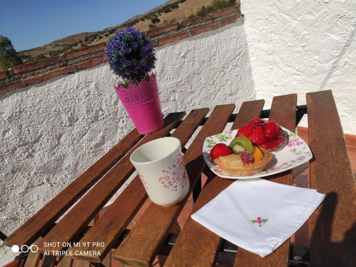 El Lagar De Pepe Bed and Breakfast Casabermeja Εξωτερικό φωτογραφία