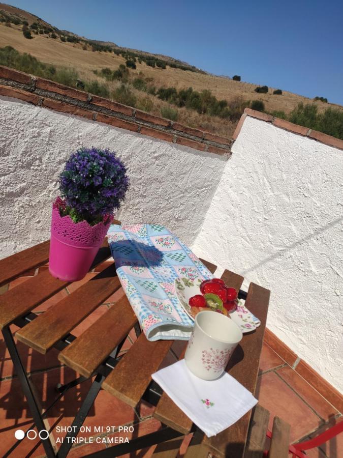 El Lagar De Pepe Bed and Breakfast Casabermeja Εξωτερικό φωτογραφία