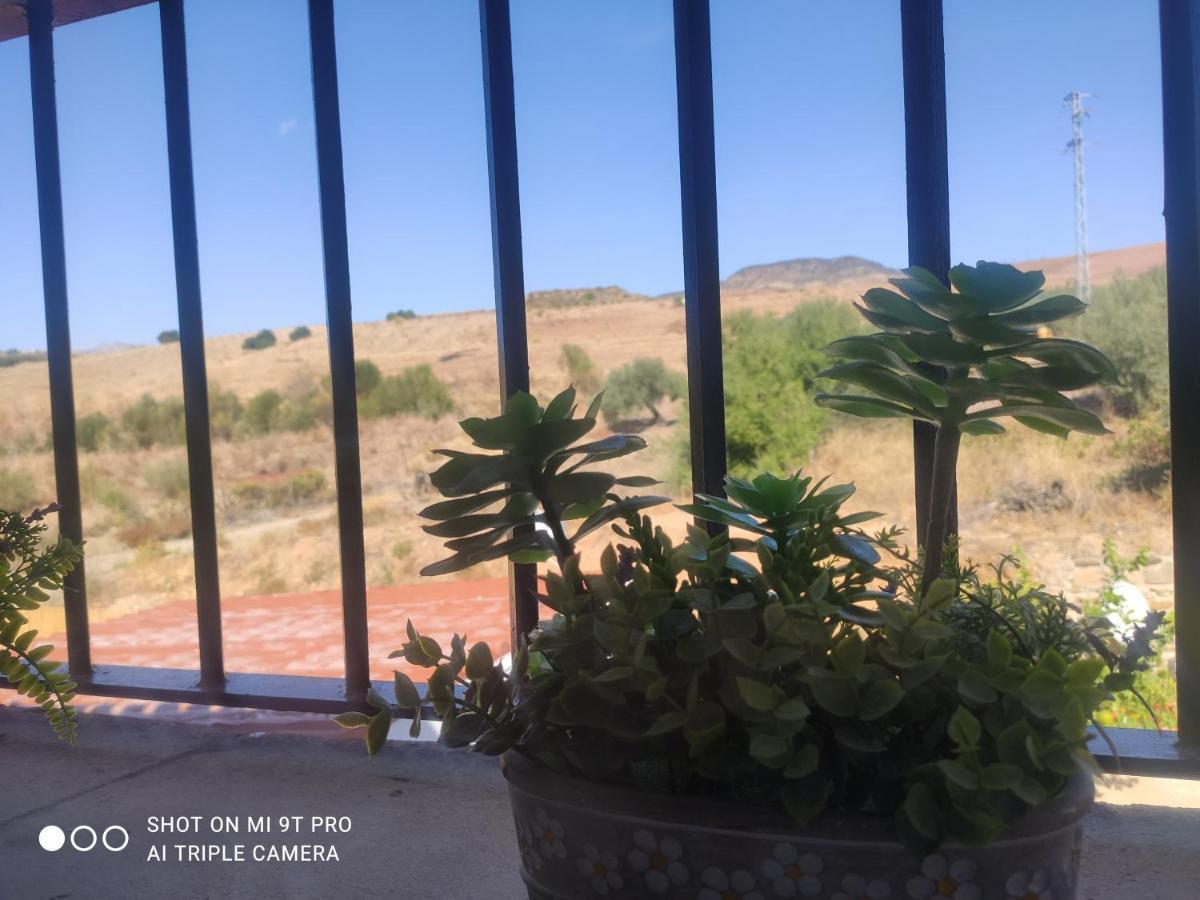 El Lagar De Pepe Bed and Breakfast Casabermeja Εξωτερικό φωτογραφία